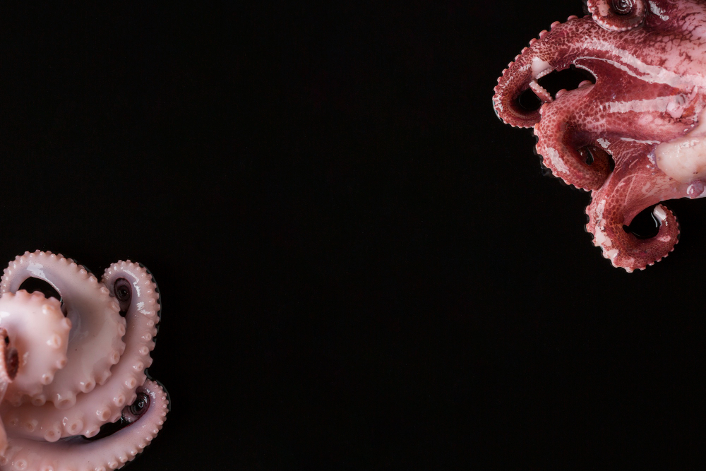 Tentacules de poulpe cuites coupées