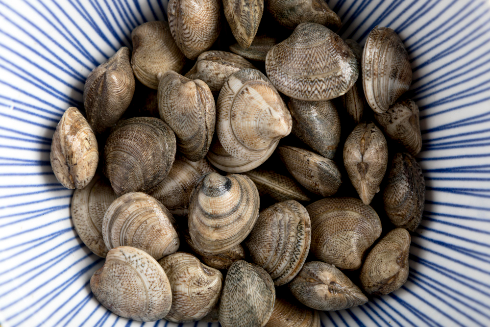 Vongoles decortiquées