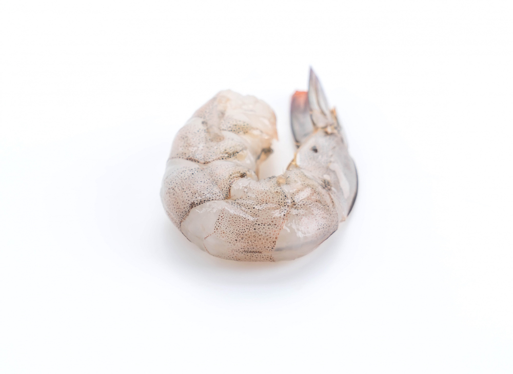 Queues de Crevettes TailOn