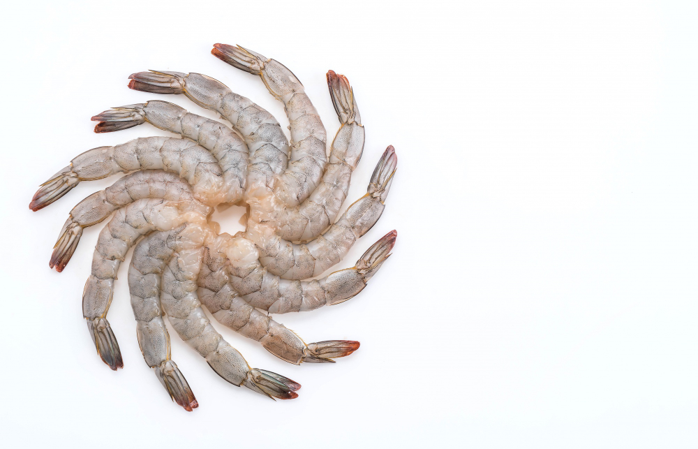 Queues de Crevettes Tailon ou PD décor.