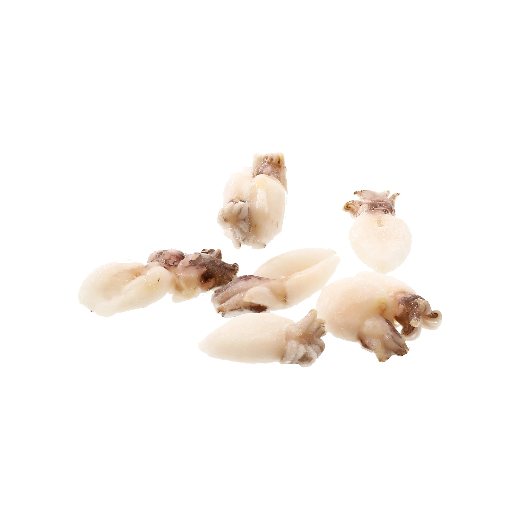 Seiche petite friture