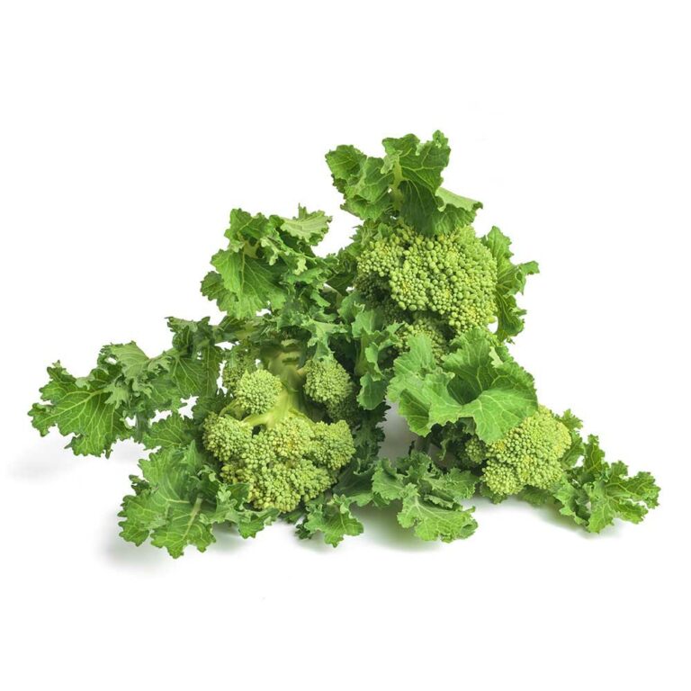 Cime di Rapa